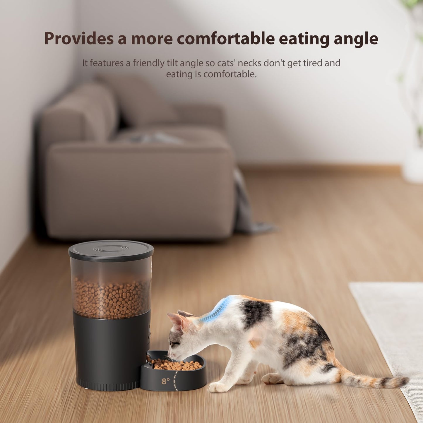 Automatic Cat Feeders